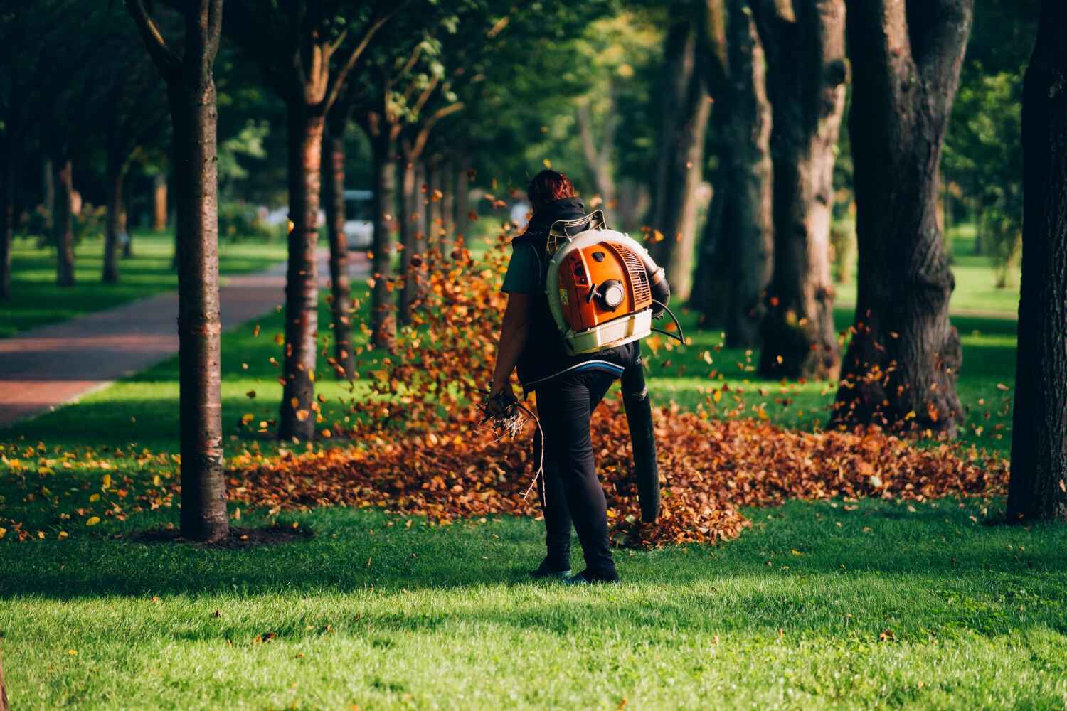 Best Best Tree Removal Services  in Stratmoor, CO